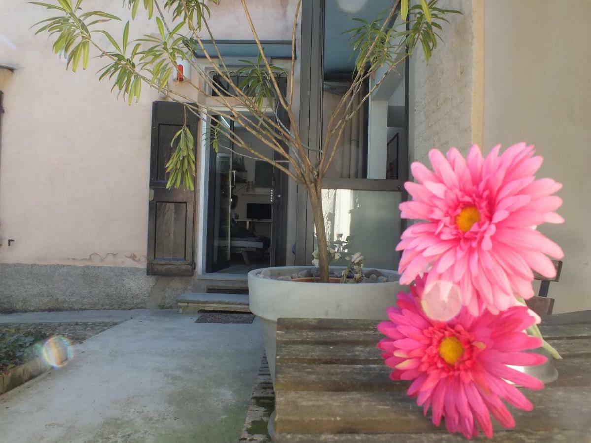 Loft Garden In Bologna'S Heart Ospedale Rizzoli Apartment Ngoại thất bức ảnh